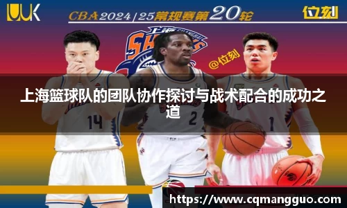 上海篮球队的团队协作探讨与战术配合的成功之道