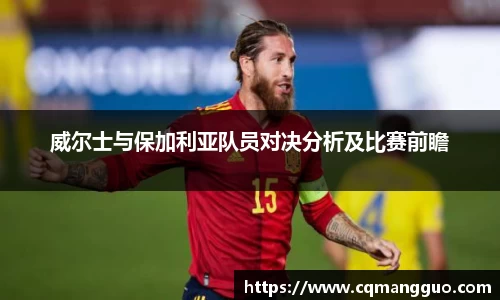 威尔士与保加利亚队员对决分析及比赛前瞻